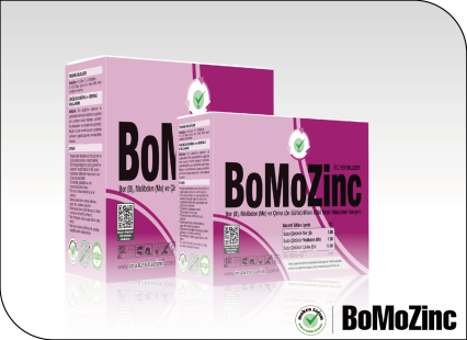 BoMoZinc