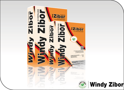 Windy Zibor