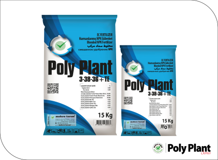 Poly Plant 3-38-36+TE