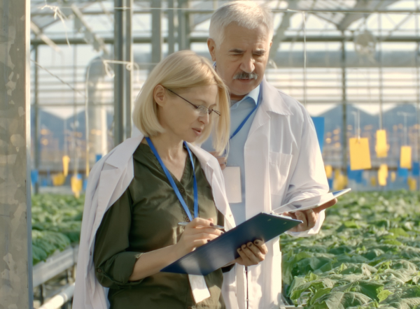 Ekran Resmi 2025-11-07 13.44.02